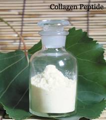 Collagen Peptide